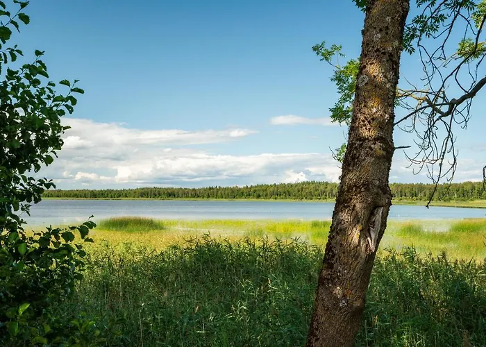 Vudila Saunamaja شقة Kaiavere